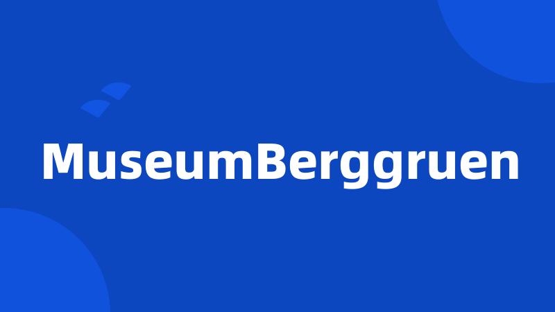MuseumBerggruen