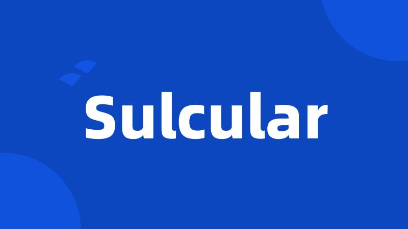 Sulcular