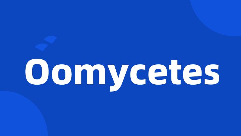 Oomycetes
