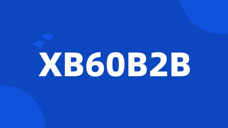 XB60B2B