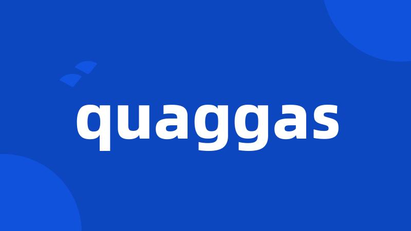 quaggas