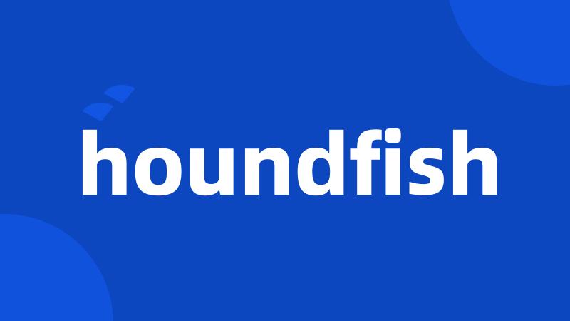 houndfish