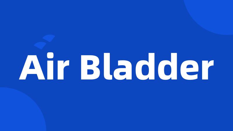 Air Bladder