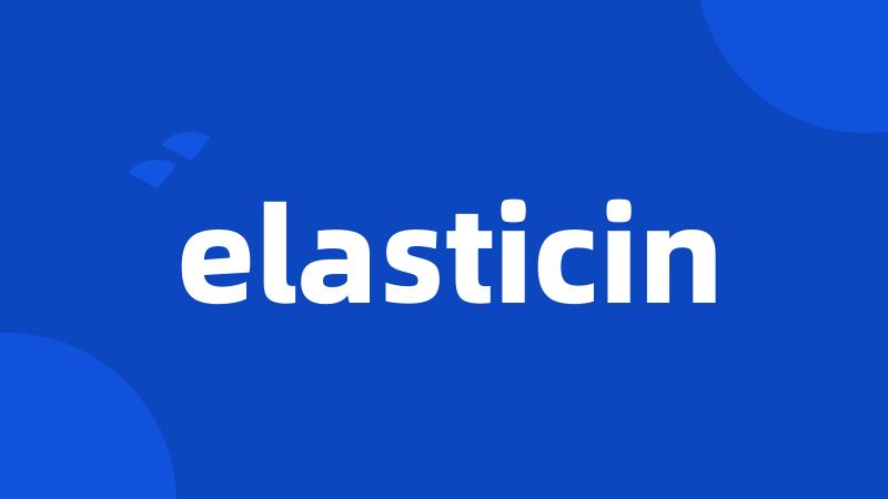 elasticin