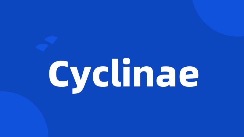 Cyclinae