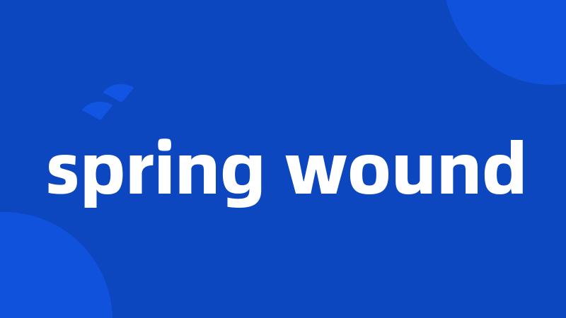 spring wound