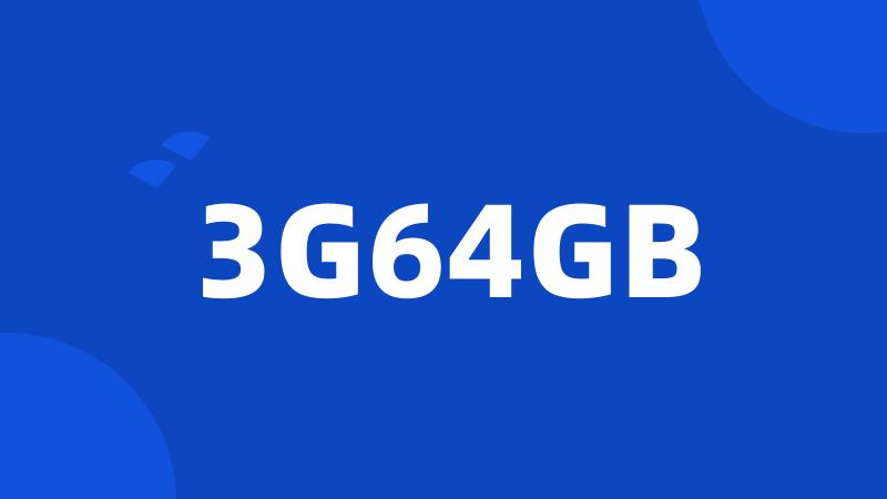 3G64GB