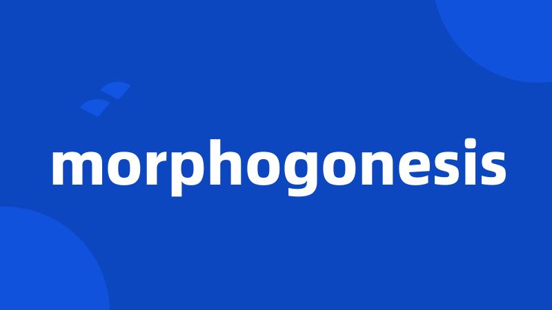 morphogonesis