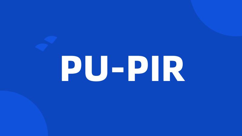 PU-PIR