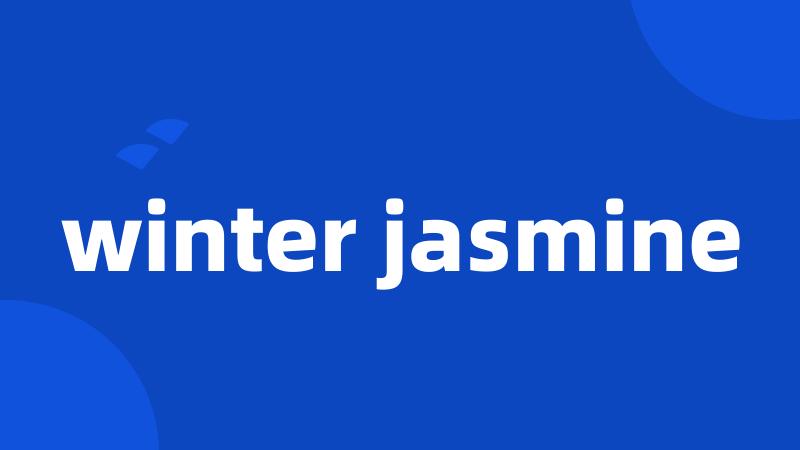 winter jasmine