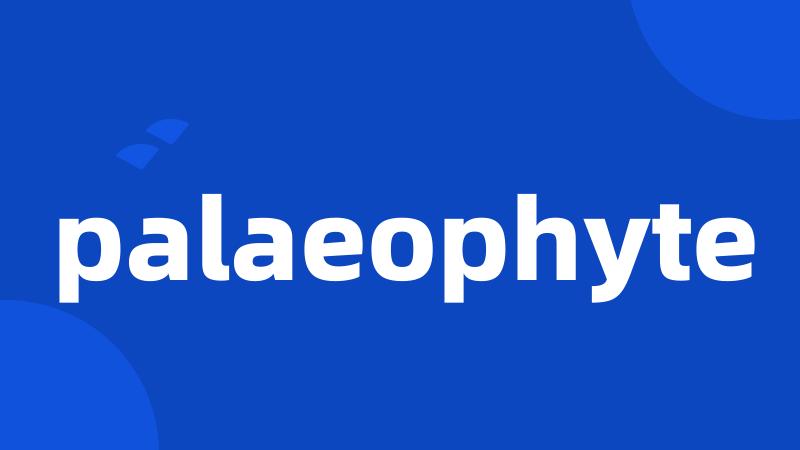 palaeophyte