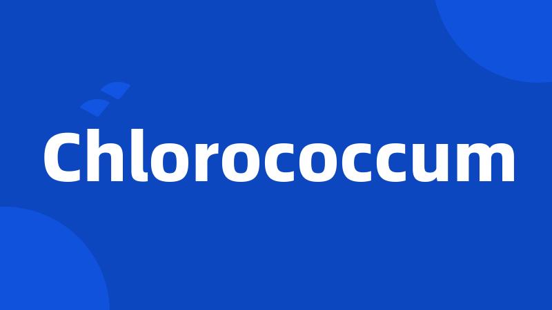Chlorococcum