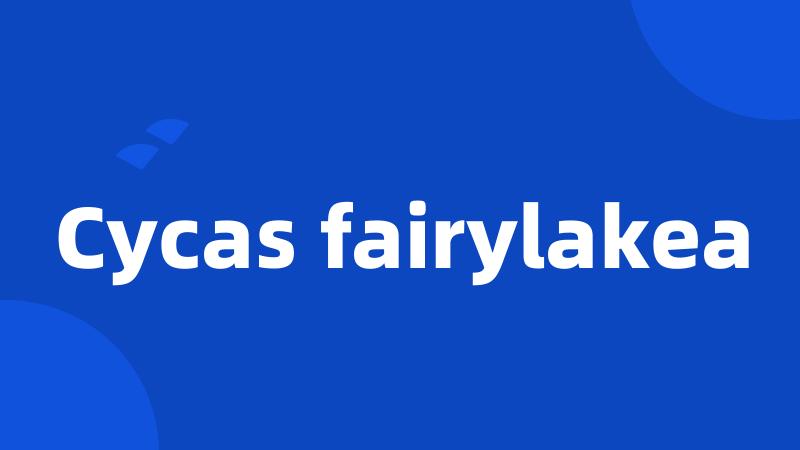Cycas fairylakea
