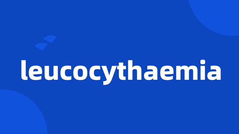 leucocythaemia