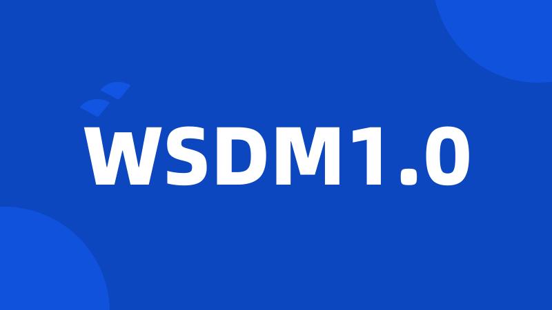 WSDM1.0