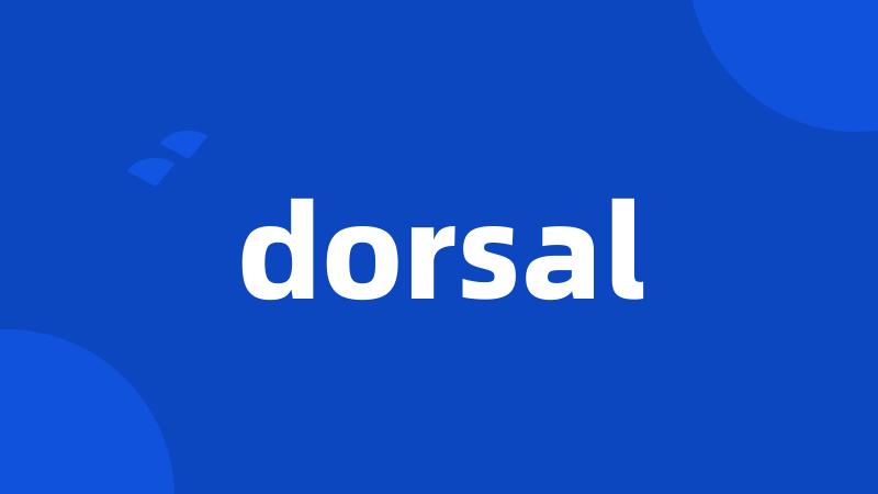 dorsal