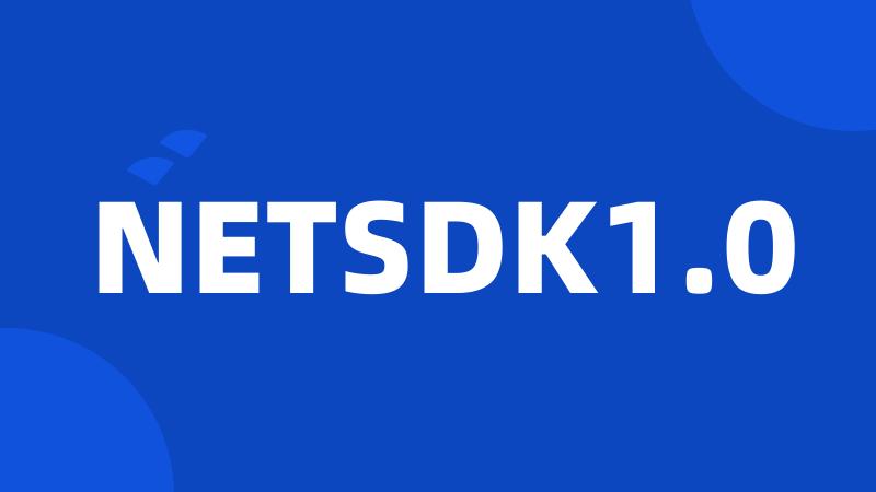 NETSDK1.0