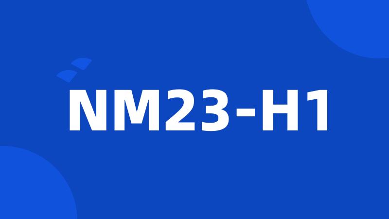 NM23-H1