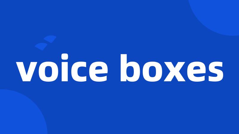 voice boxes