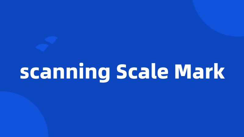 scanning Scale Mark