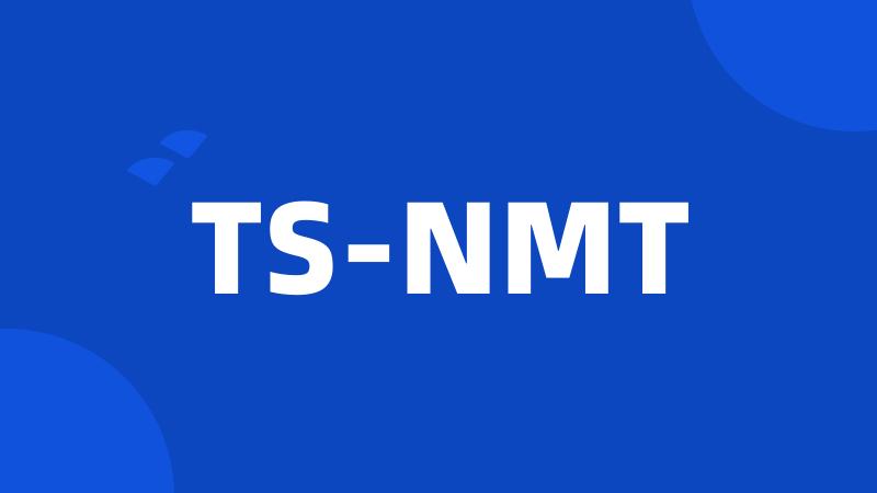 TS-NMT