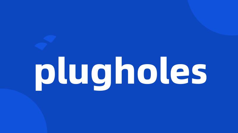 plugholes