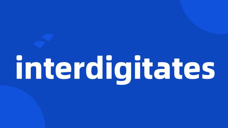 interdigitates