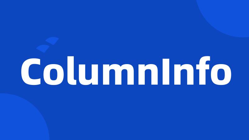 ColumnInfo