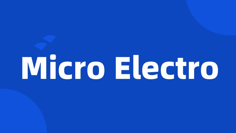 Micro Electro