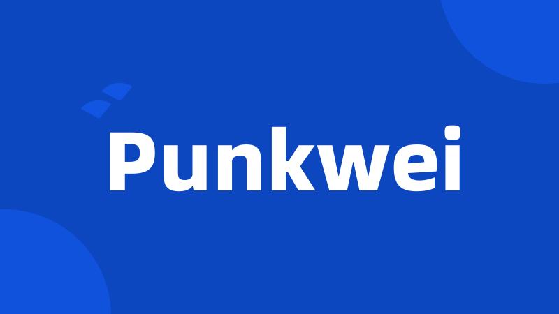 Punkwei