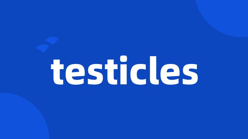 testicles
