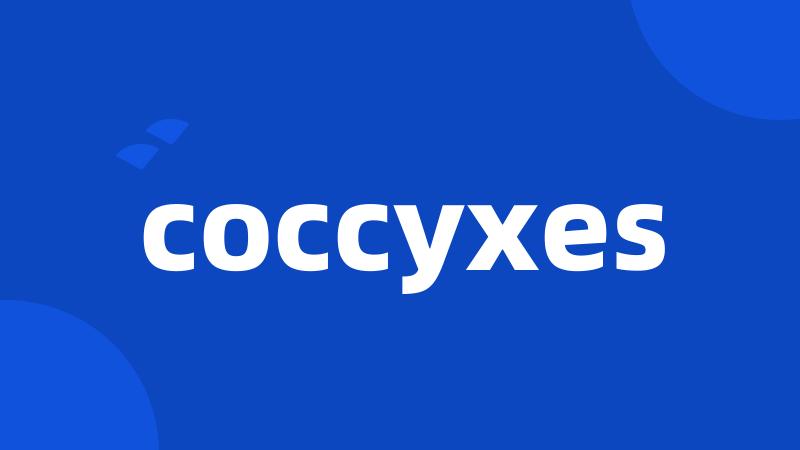 coccyxes