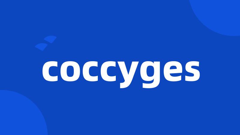 coccyges