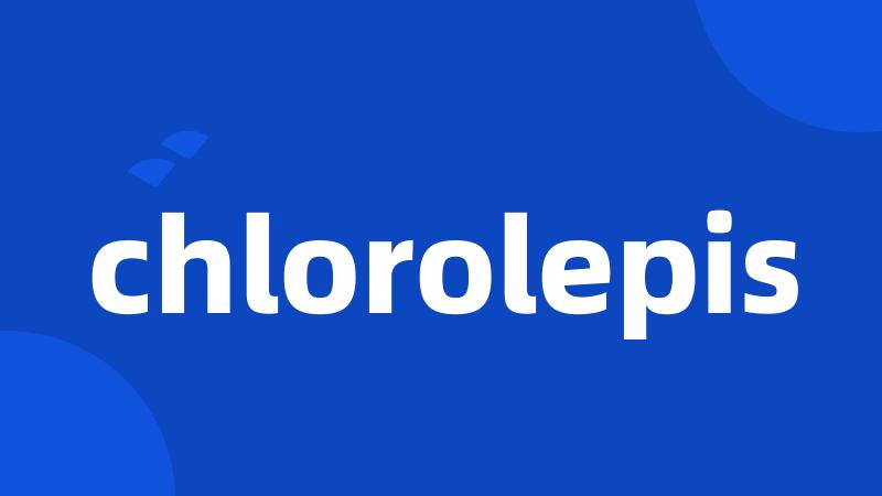 chlorolepis