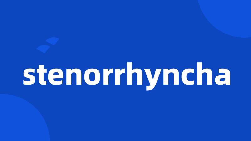 stenorrhyncha