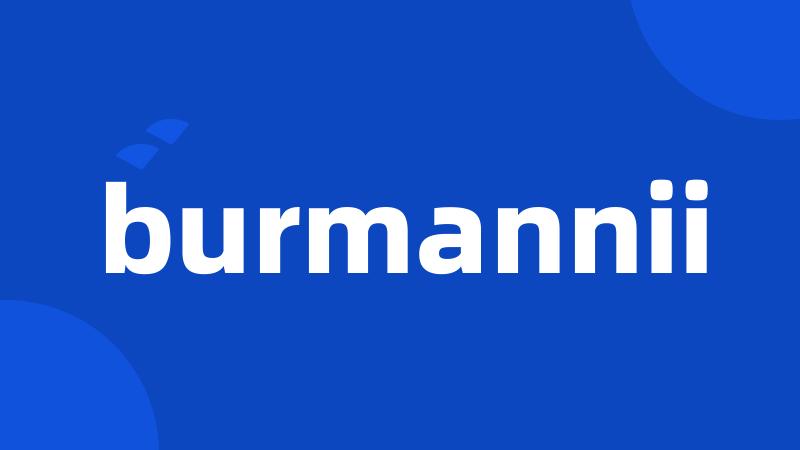 burmannii