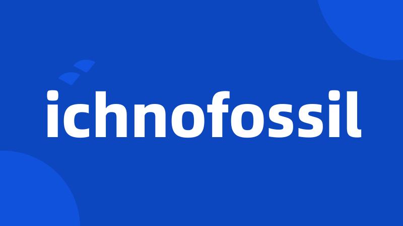 ichnofossil