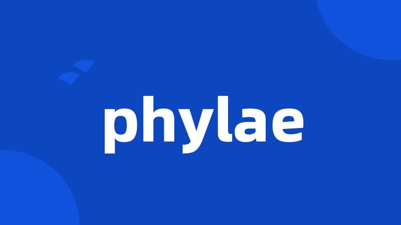 phylae