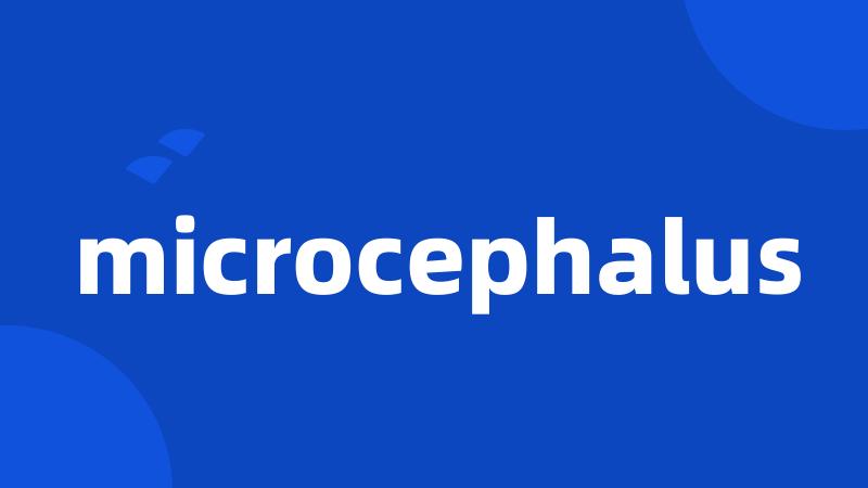 microcephalus
