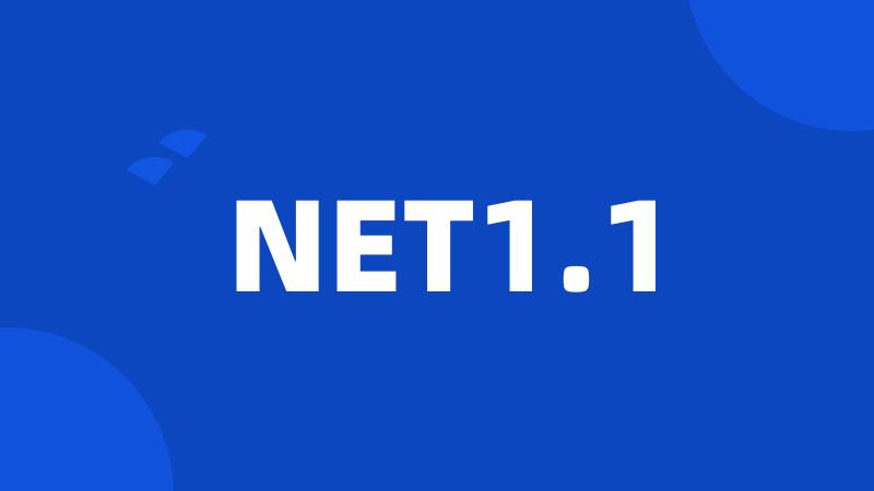 NET1.1
