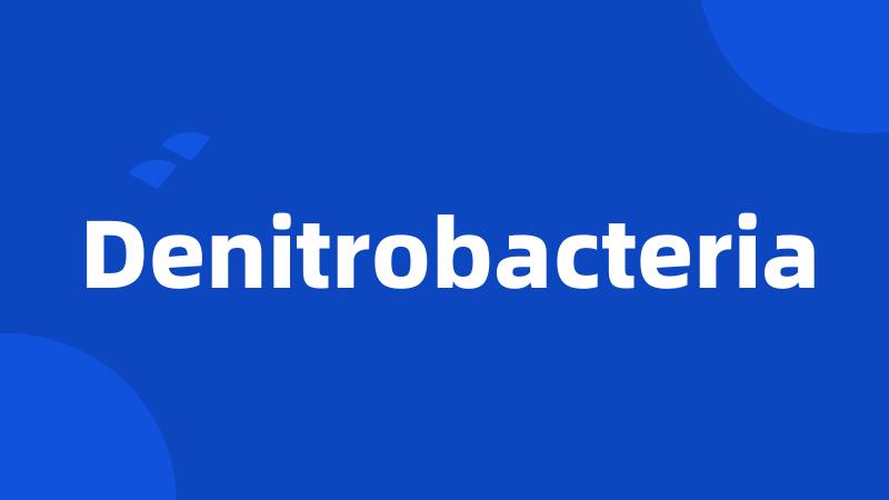 Denitrobacteria