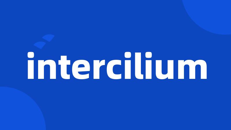 intercilium
