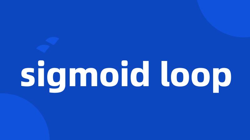 sigmoid loop