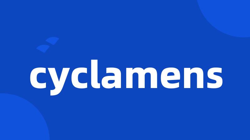 cyclamens