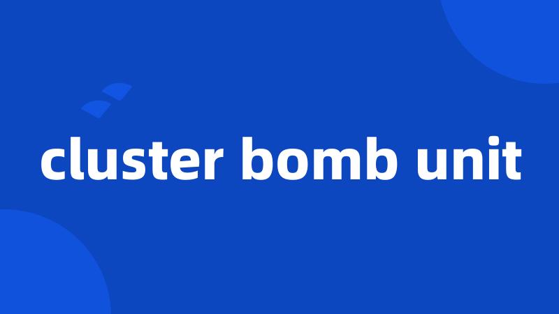 cluster bomb unit