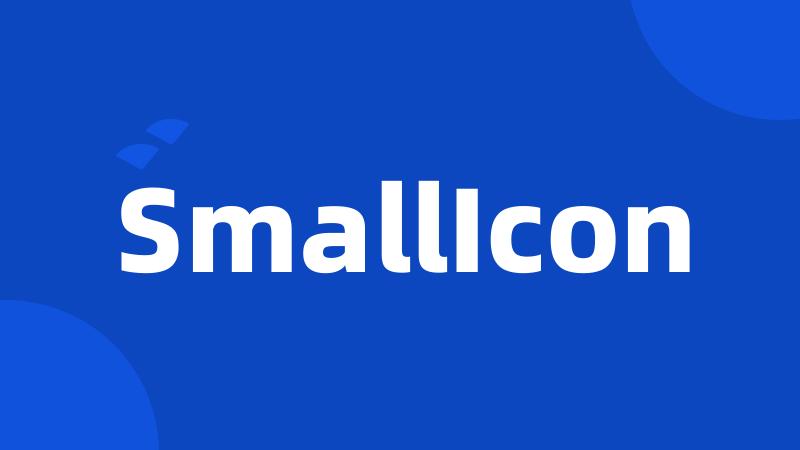 SmallIcon