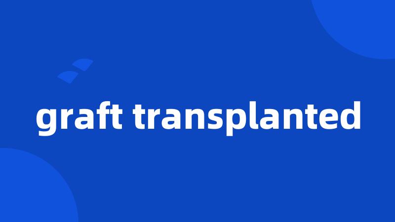 graft transplanted