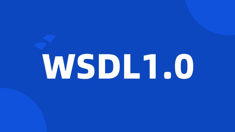 WSDL1.0