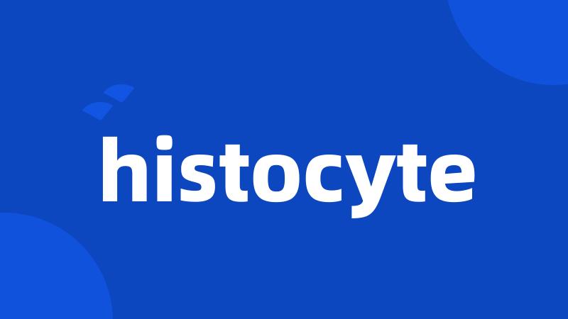 histocyte
