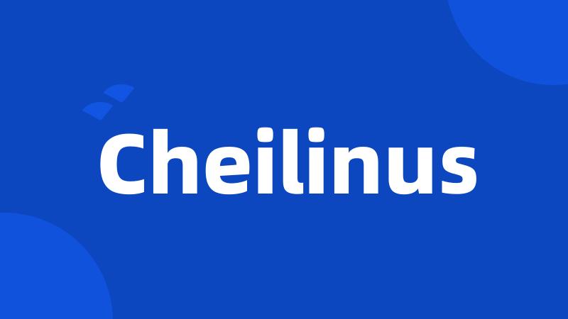 Cheilinus